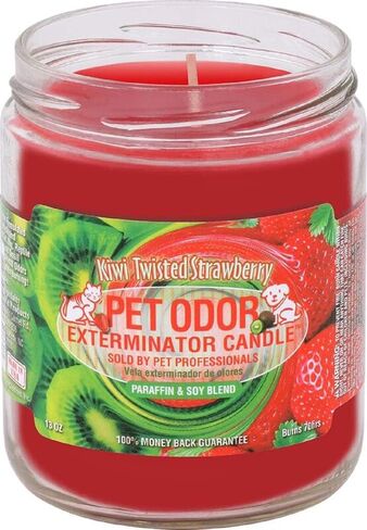 Pet Odor Exterminator Candle, Bermuda Beach,13 oz in Kuwait