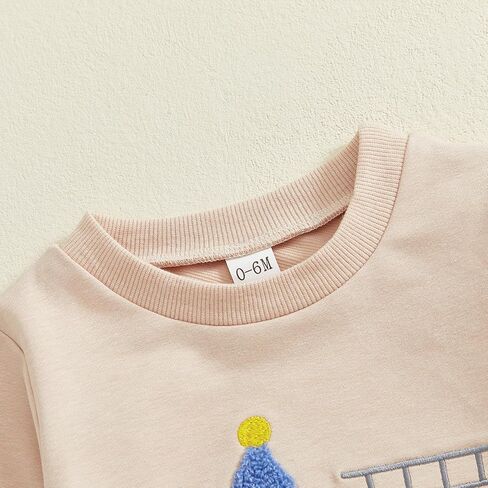 Toddler Baby Boy Birthday Outfit Long Sleeve Crew Neck Truck Embroidery Sweatshirt Pants Fall 1St 2nd Birthday Clothes in Saudi Arabia
