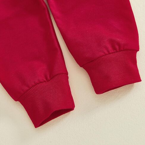 Toddler Baby Boy Birthday Outfit Long Sleeve Crew Neck Truck Embroidery Sweatshirt Pants Fall 1St 2nd Birthday Clothes in Saudi Arabia