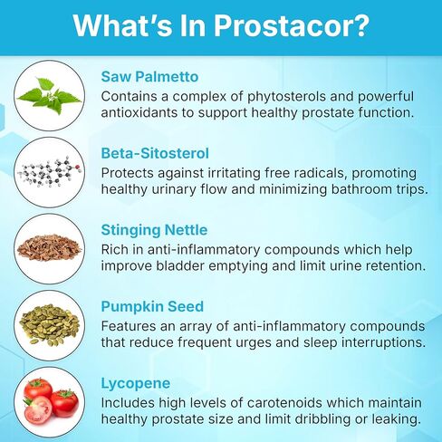 Natural Prostate Support Supplement - Non-GMO, Vegan, Gluten-Free in Saudi Arabia