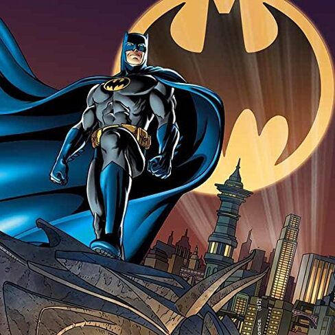 غلاف Skinit المخصص للألعاب المتوافق مع DS Lite - تصميم Warner Bros Batman in The Sky المرخص رسميًا in Kuwait