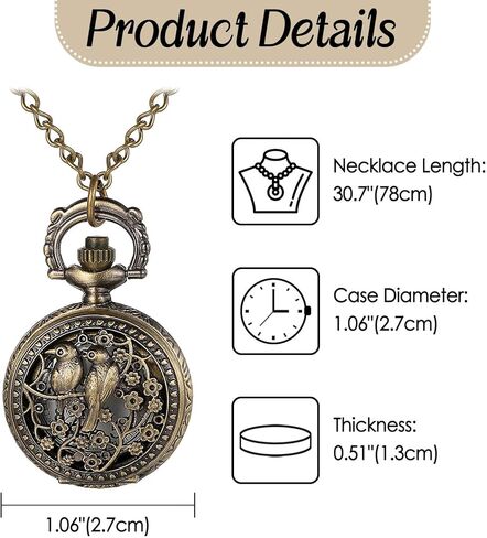 LANCARDO Antique Bronze Unisex Hollow Out Astrolabe Carving Arabic Markers Pocket Watch with Chain in Kuwait