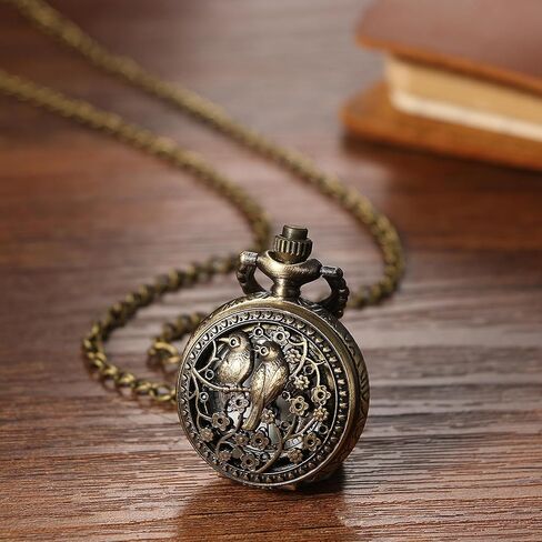 LANCARDO Antique Bronze Unisex Hollow Out Astrolabe Carving Arabic Markers Pocket Watch with Chain in Kuwait