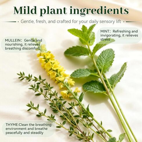 Herbal Diffuser Pen,Mullein Diffuser Pen for Lung Cleaning,Up to 800 Uses,with Mullein,Thyme and Mint,Anxiety Relief,Lightweight and Portable in Saudi Arabia
