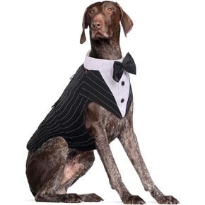 DORA BRIDAL Dog Tuxedo Dog Wedding Outfit, Formal Dog Suit and Bandana Set, Dog Wedding Attire Party Dog Bow Tie Shirt for Large Medium Dogs Labrador Golden Retrievers Bulldogs Boy