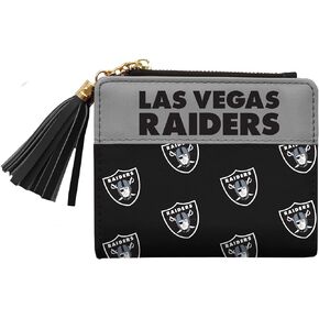 Littlearth Unisex-Adult NFL Las Vegas Raiders Mini Organizer, Team Color, One Size