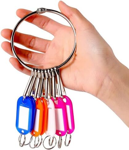 Metal Ring Key Organizer Holder with 10 Key Tags and Spring Hooks Landlord Key Organizer Manager Janitor Key Holder for Warehouse Office School Home, Random in Saudi Arabia
