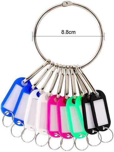 Metal Ring Key Organizer Holder with 10 Key Tags and Spring Hooks Landlord Key Organizer Manager Janitor Key Holder for Warehouse Office School Home, Random in Saudi Arabia