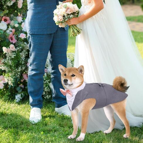 DORA BRIDAL Dog Tuxedo Dog Wedding Outfit, Formal Dog Suit and Bandana Set, Dog Wedding Attire Party Dog Bow Tie Shirt for Large Medium Dogs Labrador Golden Retrievers Bulldogs Boy in Kuwait