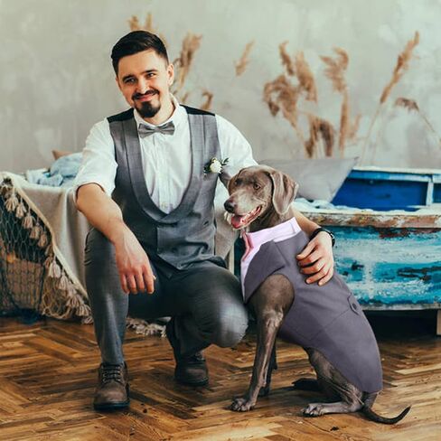 DORA BRIDAL Dog Tuxedo Dog Wedding Outfit, Formal Dog Suit and Bandana Set, Dog Wedding Attire Party Dog Bow Tie Shirt for Large Medium Dogs Labrador Golden Retrievers Bulldogs Boy in Kuwait