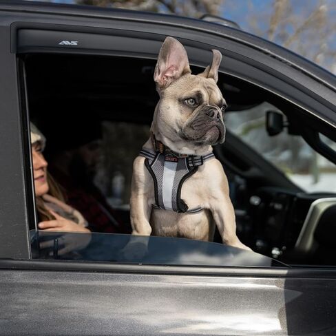 Auto Ventshade [AVS] In-Channel Ventvisor / Rain Guards | Fits 2002 - 2006 Cadillac Escalade, 2000 - 2006 Chevrolet Tahoe/GMC Yukon, 2001 - 2006 Yukon Denali- Smoke, 4 pcs. | 194304 in Kuwait