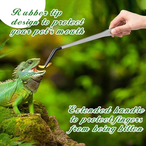 Ziliny 2 Pcs Reptile Feeding Tongs Stainless Steel Long Handle Tweezers Straight and Bent Rubber Tipped Tweezers with 2 Pcs Reptile Food Dish Bowl Terrarium Feeder Tools for Gecko Snake (10'', 10.5'') in Saudi Arabia
