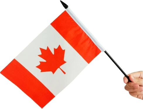 Zigvert America & Canada Flag, 8.2x5.5in Twin Miniature Desk Flags, Double-sided Printing, Polyester, 11.8in Pole, 2.3in Base, Office Decorations in Saudi Arabia