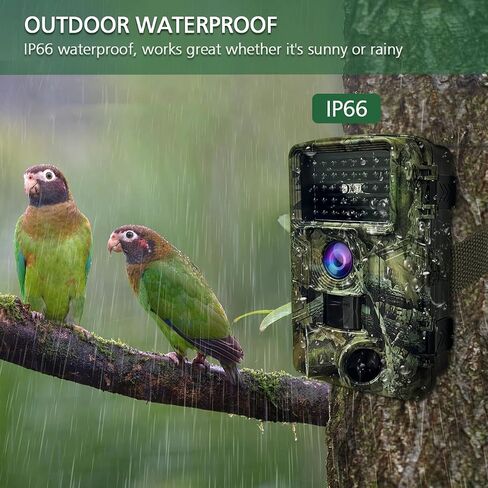 Trail Camera 58MP 2" Huge Screen HD Game Hunting Camera with Night Vision Motion Activated IP66 Waterproof Outdoor Deer Wildlife Camera Field Night Cam for Backyard/Tree/Farm Wildlife Monitring (M) in Saudi Arabia