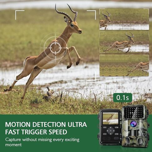 Trail Camera 58MP 2" Huge Screen HD Game Hunting Camera with Night Vision Motion Activated IP66 Waterproof Outdoor Deer Wildlife Camera Field Night Cam for Backyard/Tree/Farm Wildlife Monitring (M) in Saudi Arabia