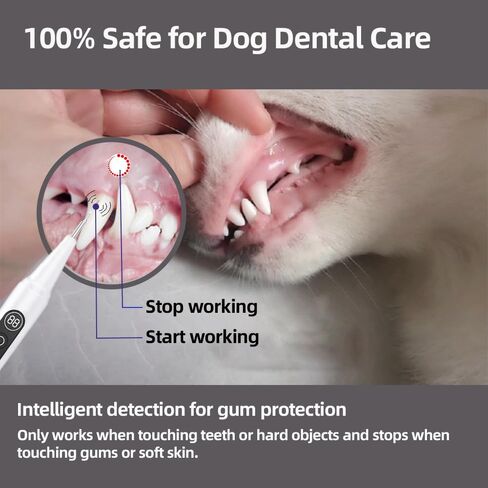 VALFRID Plaque Remover for Teeth,Dog Tooth Brushing Kit,Pet Ultrasonic Teeth Cleaning Kit,Safe for Dog and Cat, with LED Light,White in Kuwait