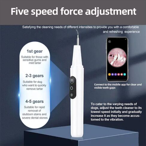 VALFRID Plaque Remover for Teeth,Dog Tooth Brushing Kit,Pet Ultrasonic Teeth Cleaning Kit,Safe for Dog and Cat, with LED Light,White in Kuwait
