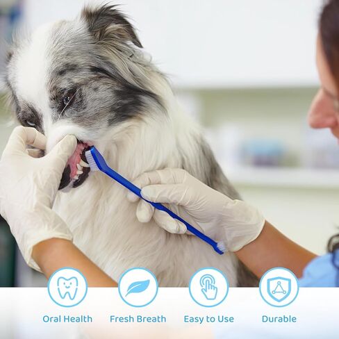 150 قطعة من فرشاة أسنان الكلاب ذات الرأس المزدوج من IKITEE، 5 ألوان، فرش أسنان مزدوجة الرأس للكلاب الكبيرة والصغيرة، والقطط، ومعظم الحيوانات الأليفة، وشعيرات ناعمة، ومستلزمات العناية بالفم وتنظيف الأسنان in Kuwait