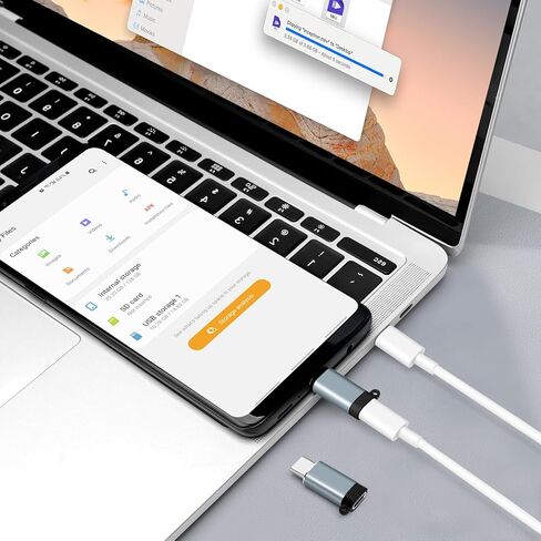 Adapter Lightning Female to USB-C Male (2-Pack), USB C to Lightning, Data Transfer Compatible for iPhone 16/15 Series,Air, iPad, Not for Audio/OTG - Gray in Saudi Arabia