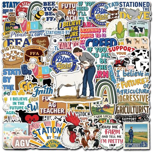 50 Pcs Women Hardhat Sticker Female Blue Collar Stickers Waterproof Vinyl Inspiring Career Decals Water Bottle Helmet Fridge Toolbox Phone Laptop Hard Hat Christmas Gifts for Girls Ladies Mom in Saudi Arabia
