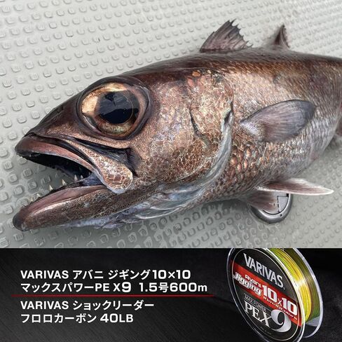VARIVAS Braid Line Avani Jigging 10x10 أقصى قوة PE X9 300 متر in Kuwait