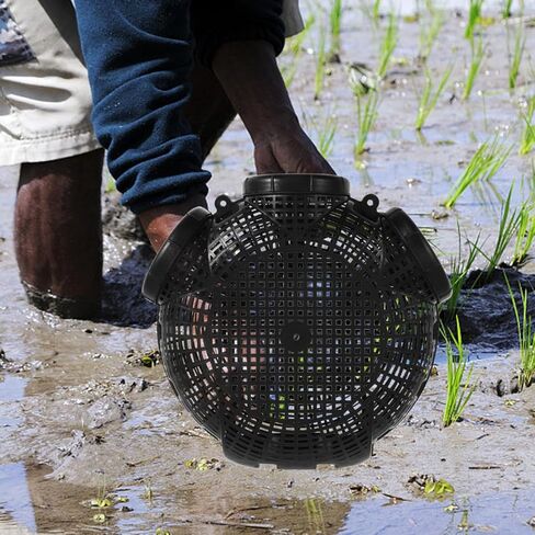 EEL Trap Crab Trap Portable Lobster Bait Fishing Net 12.20X10.62X3.93In Lightweight Breathable Easy Use in Saudi Arabia