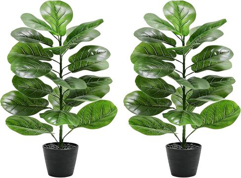 شجرة التين المصنوعة من أوراق الكمان الاصطناعية: نبات ليراتا صناعي بطول 6 أقدام، أشجار تين مزيفة من الحرير الأخضر الواقعي، أوراق كبيرة مع جذوع طبيعية وحصى في زارع أسود للمنزل والمكتب الداخلي والخارجي. in Kuwait