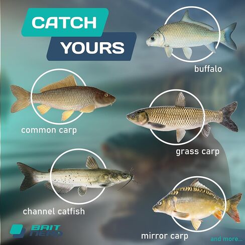 Soluble 30 pcs, 16mm, Natural Premium Soluble Boilies | Carp Fishing Bait | Hair Rig, Chod Rig in Saudi Arabia