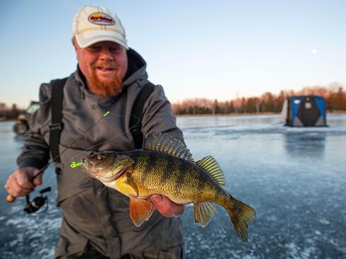 Northland Tackle Rigged Tungsten Pin Fry Ice Fishing Jig with Minnow Fry Body, 2 Pre-Rigged Jig Heads & 3 Extra Ice Fishing Plastics, Tungsten Jig Heads for Panfish, 1/28 Oz, Glo White in Saudi Arabia