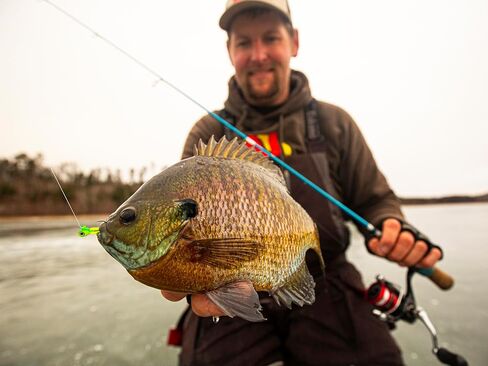 Northland Tackle Rigged Tungsten Pin Fry Ice Fishing Jig with Minnow Fry Body, 2 Pre-Rigged Jig Heads & 3 Extra Ice Fishing Plastics, Tungsten Jig Heads for Panfish, 1/28 Oz, Glo White in Saudi Arabia