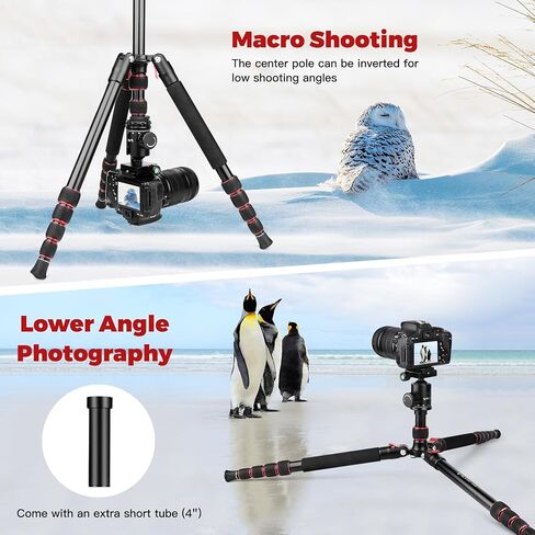 Camera Tripod, Ball Head Tripod, Heavy Duty Camera Tripod Stand in Saudi Arabia