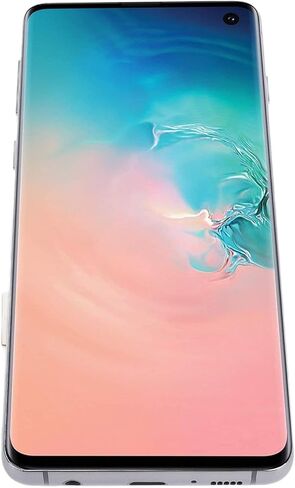 شاشة OLED تعمل باللمس محول رقمي لاستبدال مجموعة شاشة اللمس للهاتف الخلوي SM S10، مع وظيفة بصمة الإصبع وأدوات إصلاح، 6.1 بوصة (فضي) in Kuwait