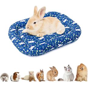 2 حزمة 17.7x12.6x1.96in قابل للغسل عكسها وسادة قطيفة حصيرة لينة مبطن سرير الحيوانات الأليفة للكلاب الصغيرة القطط عكسها وسادة قطيفة حصيرة للأرانب 0-6.6 رطل الأزرق in Kuwait