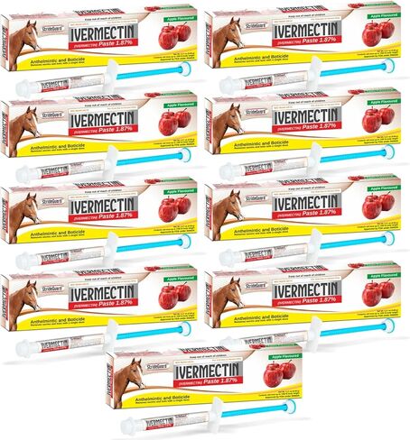 Horse Ivermectin Paste 1.87% – Apple Flavored Oral Horse Dewormer Syringe – 6.08g Tube Treats Horses Up to 1,250 lbs [Pack-12] in Saudi Arabia