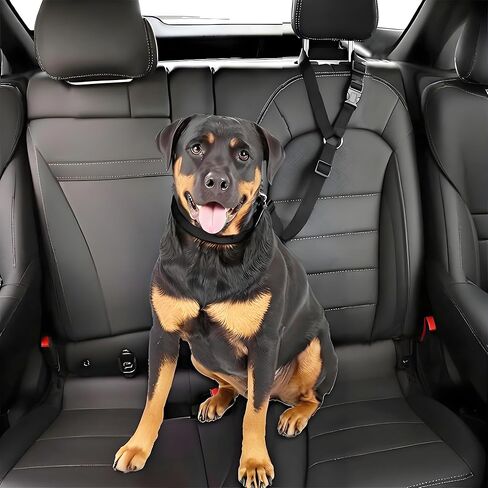 2 Pack Dog Cat Car Harnesses Car Headrest Restraint Adjustable Nylon Fabric Dog Restraints Vehicle Harness, Black+Sky Blue in Saudi Arabia