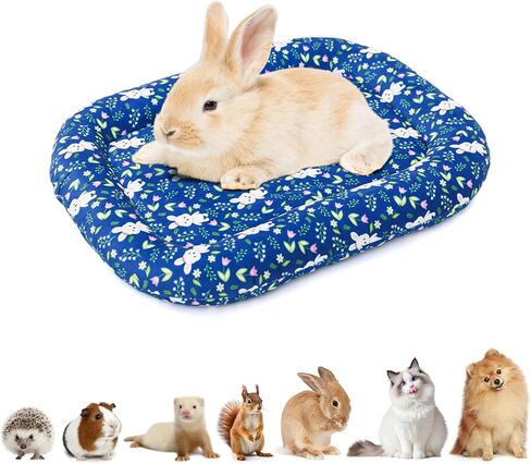 2 حزمة 17.7x12.6x1.96in قابل للغسل عكسها وسادة قطيفة حصيرة لينة مبطن سرير الحيوانات الأليفة للكلاب الصغيرة القطط عكسها وسادة قطيفة حصيرة للأرانب 0-6.6 رطل الأزرق in Kuwait