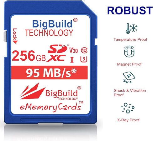256GB U3 SDXC Memory Card for Sony a1 II, FX2, ZV-E10 II, DSC-RX1R III Camera in Kuwait