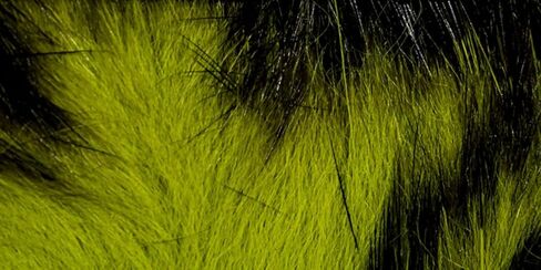 شرائط أرنب ذات لونين من Hareline Fly Tying Crosscut - منطقة متقاطعة بلونين للشرائط والعلقات والتافهين in Kuwait