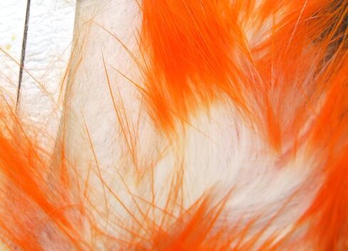 Hareline Fly Tying Crosscut Two Toned Rabbit Strips – Two-Color Crosscut Zonker for Streamers, Leeches & Buggers in Kuwait