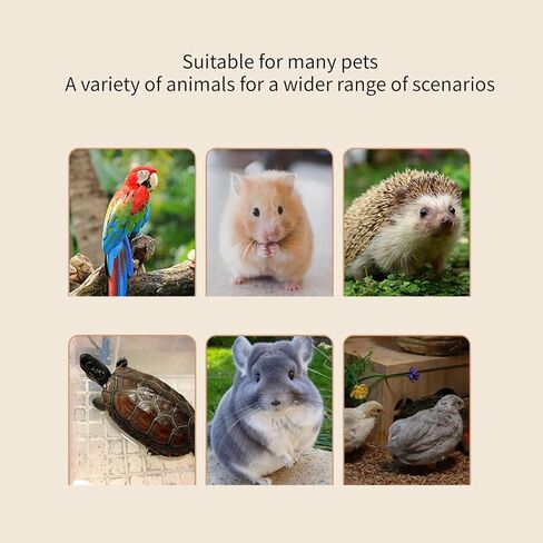 مروحة USB مدمجة مزودة بمصدر طاقة 5 فولت مثالية لتبديد الحرارة في أجهزة الكمبيوتر وملاجئ الحيوانات الأليفة ومروحة تبريد كبيرة تعمل بالطاقة USB in Kuwait