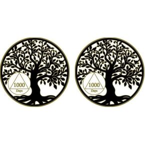 RecoveryChip 1000 Days AA Medallion Tree of Life Serenity Prayer Medallion Coin in Saudi Arabia