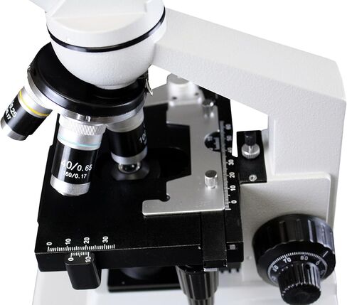 Vision Scientific VME0007-TT-100-LD-3NN ثلاثي العينيات، عدسات WF 10x، تكبير 40x-1000x، تركيز خشن محوري ودقيق، مكثف 1.25 NA Abbe، مسرح ميكانيكي، كاميرا رقمية 3.0 ميجابكسل in Kuwait