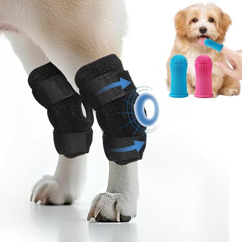 حزام رفع الكلاب قابل للتعديل، حبال كبيرة للكلاب، دعم للساق الخلفية، دعم ناعم للرفع للأرجل الخلفية الضعيفة، إعادة تأهيل الكلاب الكبيرة بعد الجراحة + مجموعة فرش أسنان للحيوانات الأليفة - طويلة وقصيرة M in Kuwait