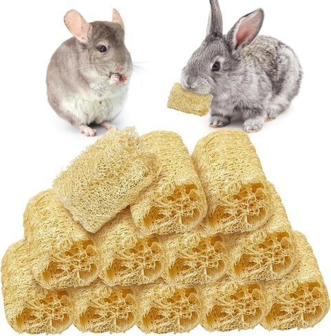 BNOSDM Bunny Chew Toys Natural Loofah 6PCS Bunny Teeth Grinding Toy Rabbit Fiber-Rich Treats Pet Entertainment Accessories for Rabbits Chinchillas Guinea Pig（L） in Saudi Arabia