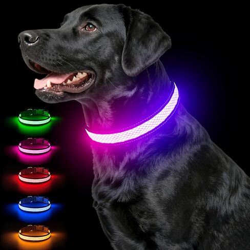 طوق للكلاب مضيء متعدد الألوان، طوق للكلاب بإضاءة LED مقاوم للماء 5 فولت، قابل لإعادة الشحن، 200 مللي أمبير في الساعة يتوهج في الظلام قابل للتعديل مع 11 وضع إضاءة للكلاب الصغيرة والمتوسطة والكبيرة تمشي ليلاً (متوسط) in Kuwait