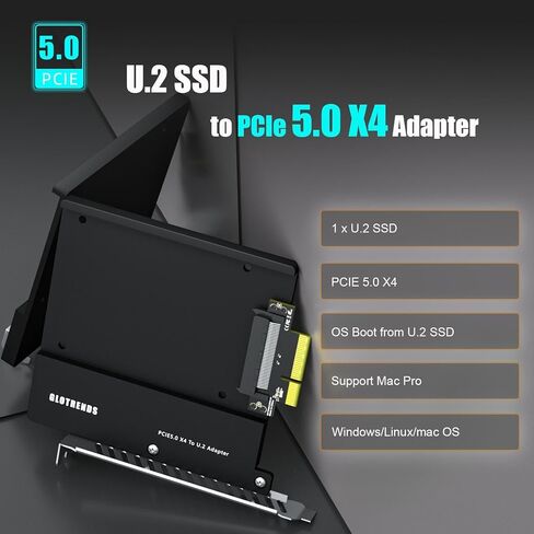 GLOTRENDS PU15 U.2 to PCIe 5.0 X4 Adapter for 2.5 Inch U.2 SSD, PCIe 5.0 X4 Full Speed in Saudi Arabia