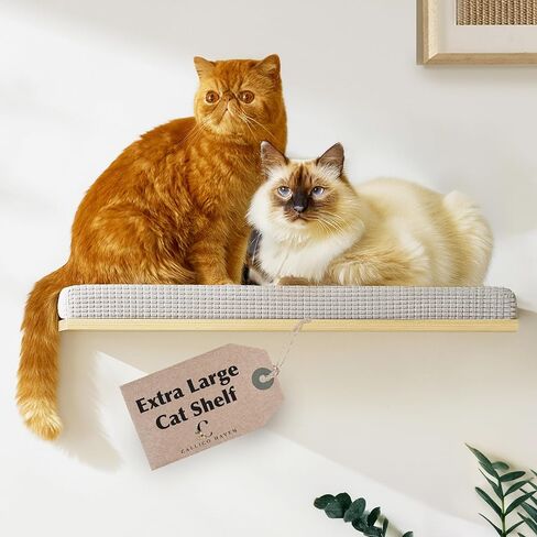 Large 9.84" CALLICO HAVEN- Corner Cat Wall Shelves - Wall-Mounted Furniture – Corner Wall Hammock for Climbing & Lounging – Space-Saving Wall Cat Tree Bed with Soft Cushion for Kittens - Fan Shape in Kuwait