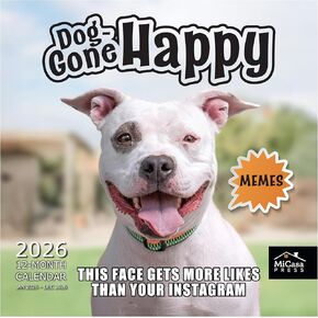 MICASA PRESS Dachshund Puppies 2026 تقويم الحائط لمدة 12 شهرًا | ورق سميك وقوي | هدية العيد | لطيف جرو وينر الكلب التقويم 2026 in Kuwait