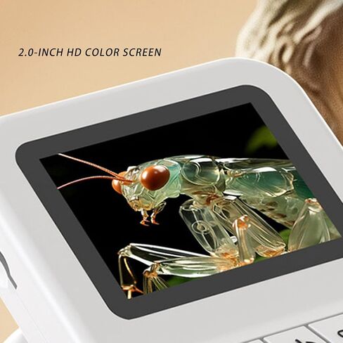 مجهر EBTOOLS للطلاب، مجهر محمول 120-1200X مع صور وفيديو وشاشة ملونة 2 بوصة، ضوء مدمج، عرض للكمبيوتر الشخصي، قابل لإعادة الشحن، حبل سهل الحمل in Kuwait