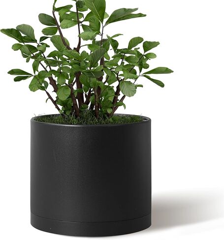 Giraffe Creation 6 inch Plant Pots, 5 Pack Flower Pots Outdoor Indoor, Planters with Drainage Hole and Tray Saucer in Saudi Arabia